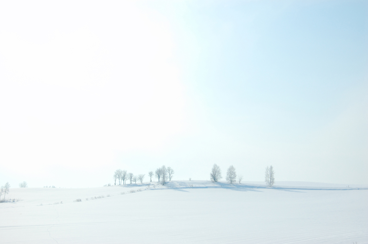 写真：雪景色イメージ